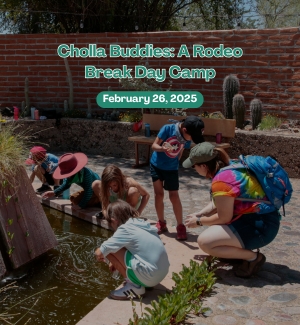 Kids playing outside by a pond in the desert garden.